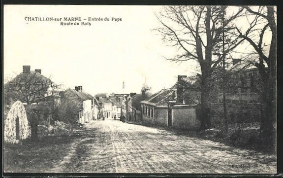 CPA Chatillon-sur-Marne, Entree du Pays, Route du Bois