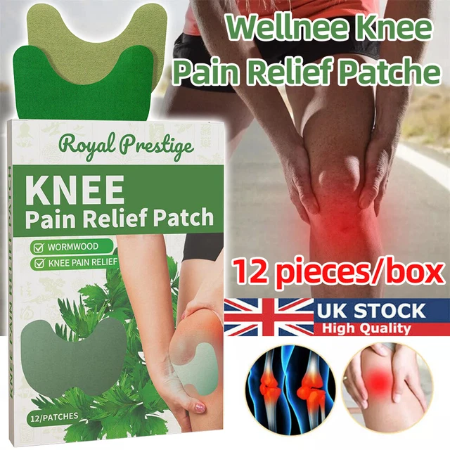 Wellnee-Knee-Pain-Relief-Patches-Wormwood-Sticker-Neck.webp