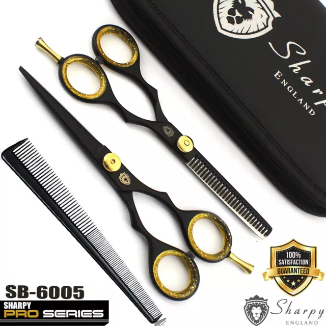 6" Professional Hairdressing Scissors Thinning Shears Set Barber Hair Cutting