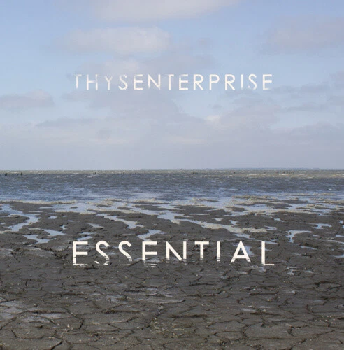 ESSENTIAL (2LP) by Thysenterprise