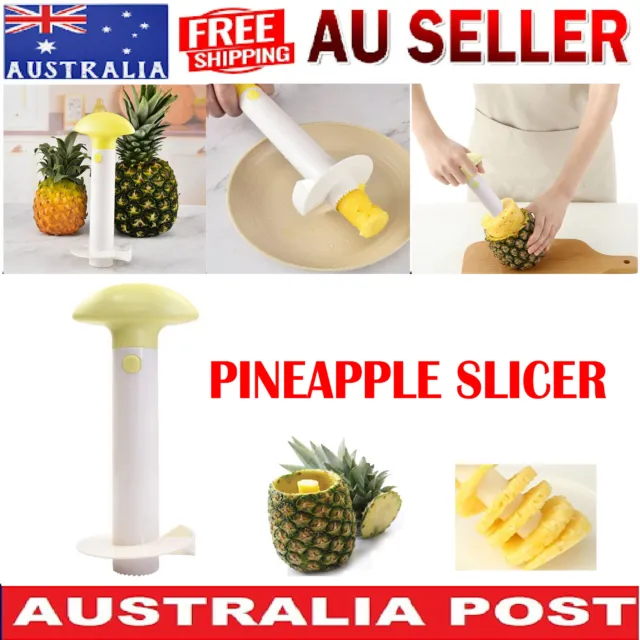 New Easy Pineapple Slicer Fruit Utensil Peeler Corer Cutter Kitchen Tool AUS