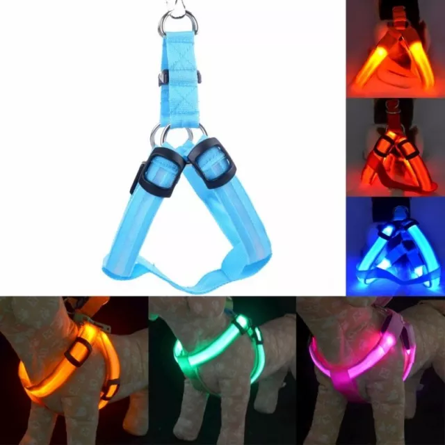 Nylon Dog Pet Cat Collars Dog Collar Adjustable Leash Flashing Vest Safety Light