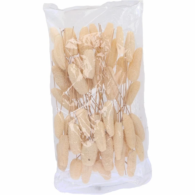 Cabeza Luffa en el tallo - 50 piezas - Poly - blanqueado