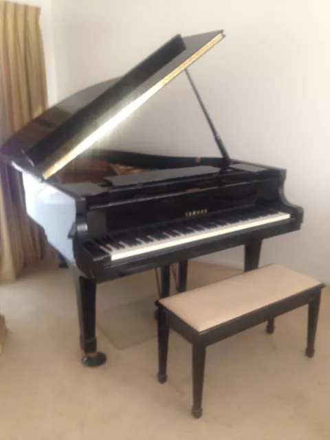 Yamaha Grand Piano C3 + Bench 3