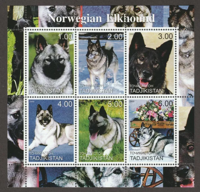 NORWEGIAN ELKHOUND ** Int'l Dog Postage Stamp  Art Collection *Great Gift Idea*