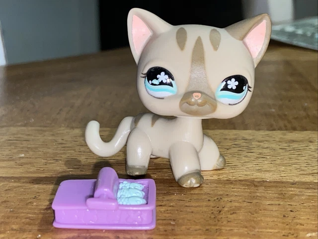 LITTLEST PETSHOP LPS #PC51 HASBRO BABY CAT BEBE CHAT FALALA FLUFFBALL