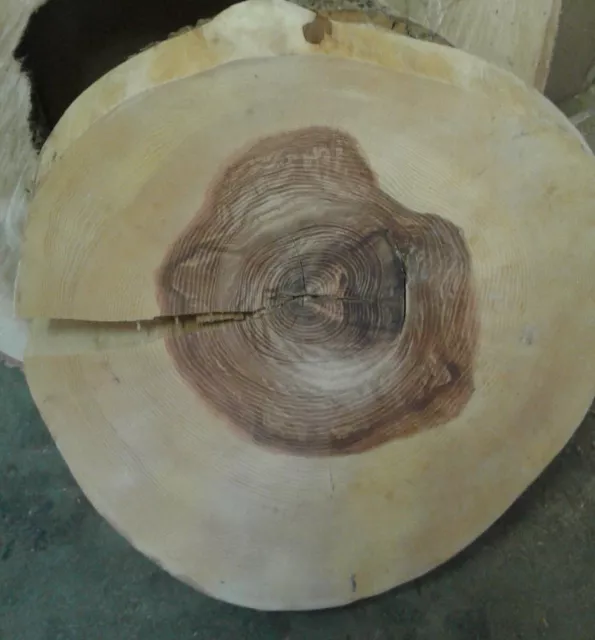 Baumscheibe, Holzscheibe, ca.50 x 10 cm, geschliffen, geölt
