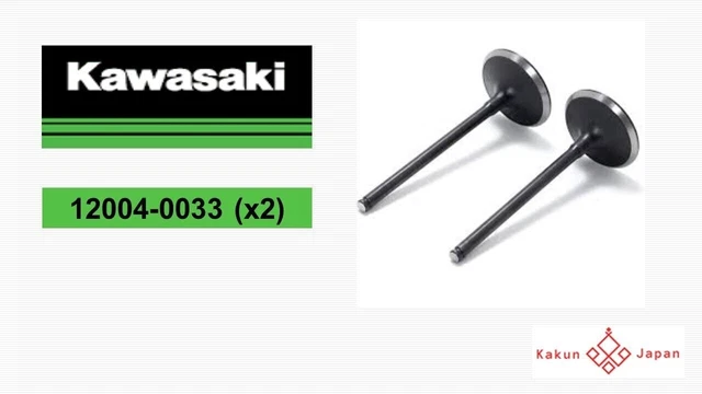Kawasaki OEM 12004-0033 × 2 KX250F Soupapes d'admission 2 jeux