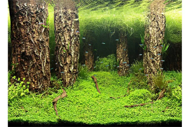 FONDO DECORATIVO DE  ACUARIO 80cm X 50cm altura.paisaje,terrario,pecera .