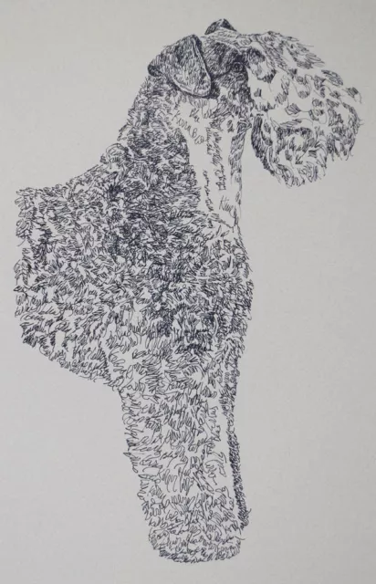 Kerry Blue Terrier Dog Art Portrait Print #34 Kline adds your dogs name free.