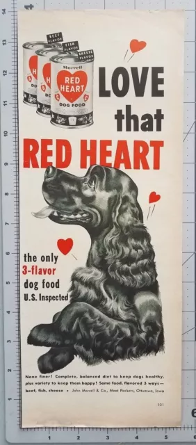 1952 Red Heart Canned Dog Food Brown Field Spaniel Vintage 1950s Print Ad