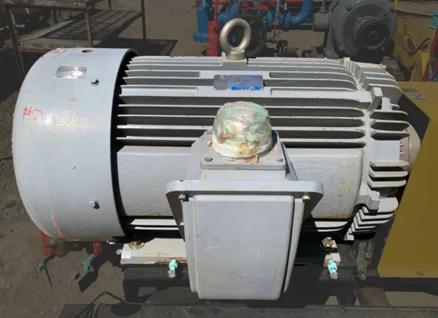 Teco-Westinghouse MAX-E1 300 HP Premium Efficiency Severe Duty Motor Teco-Westinghouse MAX-E1 300 HP Premium Efficiency Severe Duty Motor