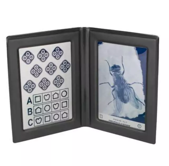 Stereo Optical Fly with LEA Symbols Stereotest - SL001