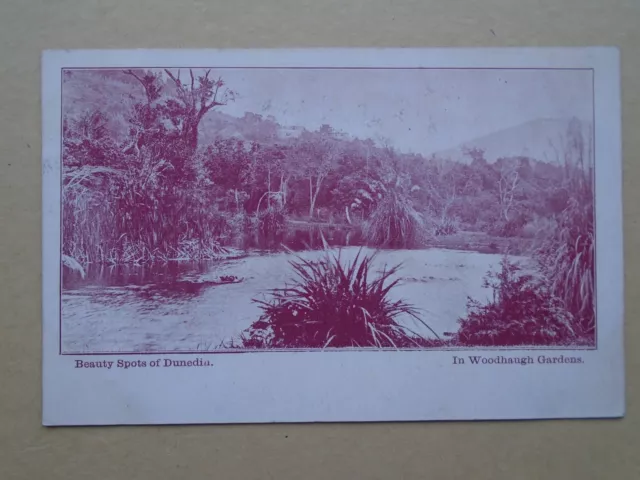 Postcard Beauty Spots of Dunedin In Woodhaugh Gardens New Zealand