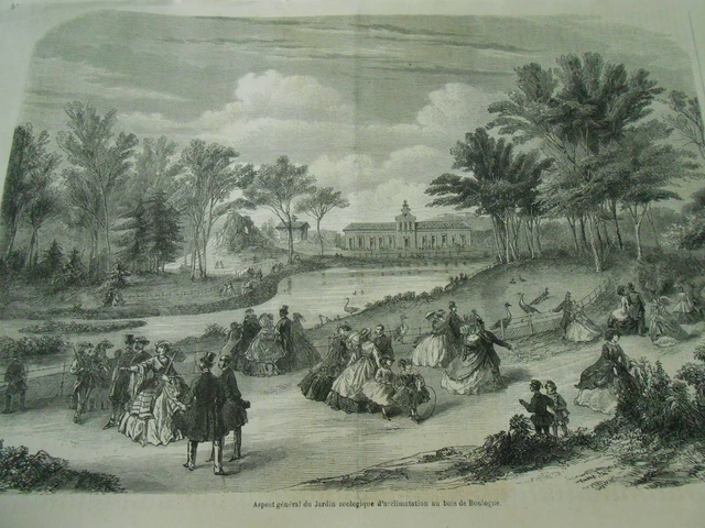 Gravure 1860 - Aspect général du Jardin Zoologique bois de Boulogne Paris