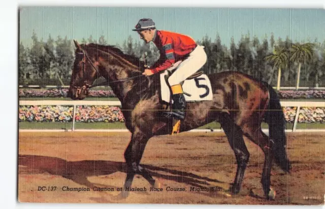 Champion Race Horse & Jockey Hialeah Race Track Miami FLORIDA Curt Teich FL -L3