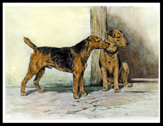 Welsh Terrier Two Dogs Lovely Vintage Style Dog Art Print Poster