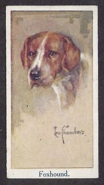 1924 UK Leo Chambers Dog Art Head Study Moustafa Cigarette Card ENGLISH FOXHOUND