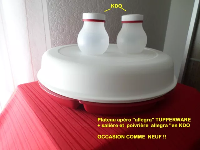 PLATEAU APERO  "Allegra"TUPPERWARE -COMME  NEUF-pique-nique-raclette- etc.+KDO