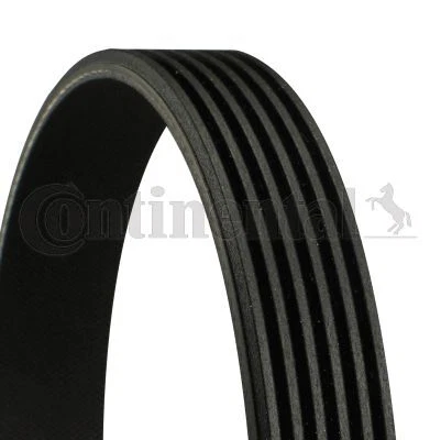 Cinghia trapezoidale cinghia di trasmissione cinghia trapezoidale Continental Ctam per Jaguar 01-09