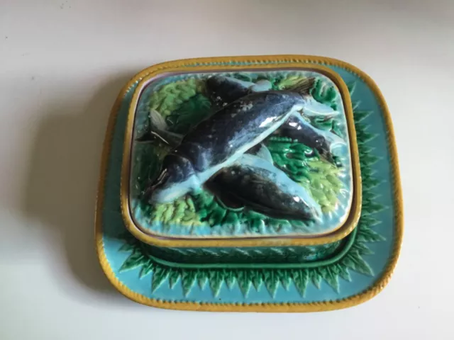 Beautiful 19c george jones majolica sardine dish