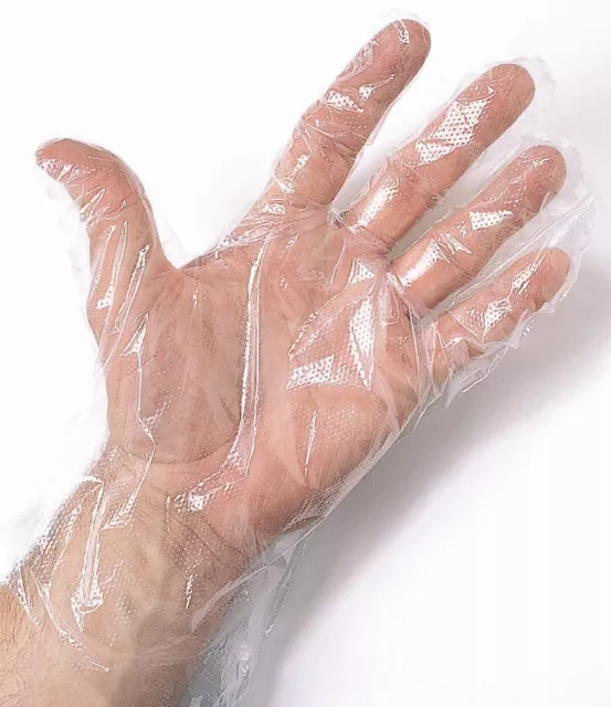 100 Disposable POLYETHYLENE GLOVES POWDER Free Non-Sterile Size LARGE