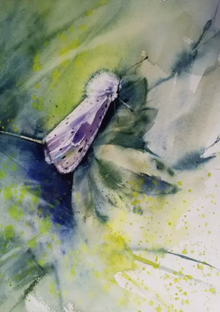 A3 Large original  watercolour animal painting, Butterfly,  Moth
