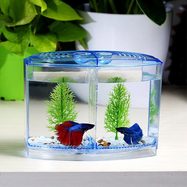 1PC Ornamental Fish Tank Acrylic Isolation Box Hatchery Box Fighting Fish Tool