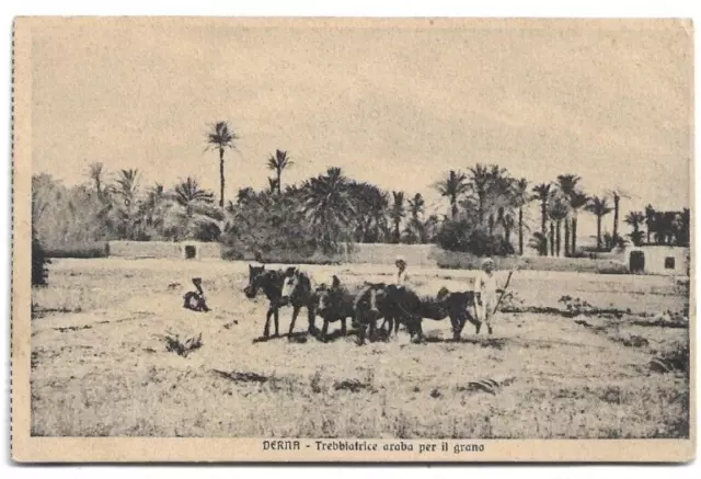 Cartolina Ex Colonie ,Libia - Derna - Trebbiatrice Araba Per Il Grano - 1913