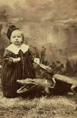 Antique Alligator Photo 888b Oddleys Strange & Bizarre