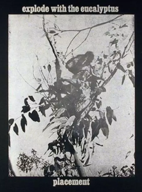 Les Levine, Explode with the Eucalyptus, Photo-Etching, signed and numbered in p