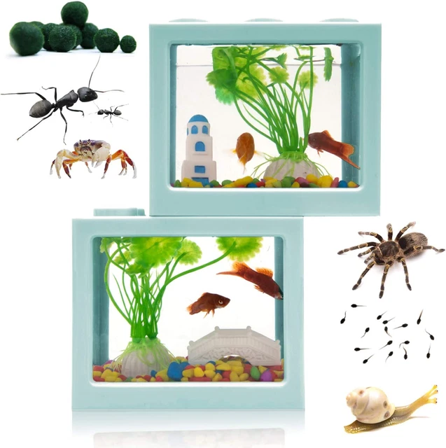 Betta Fish Tank- Mini Betta Bowl Kit Small Aquarium with Divider 2-in-1 Bow Tank