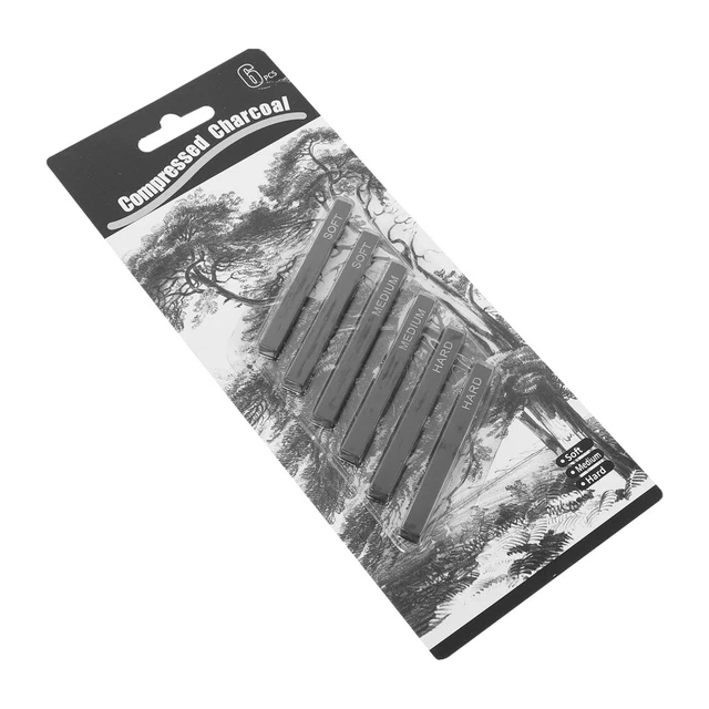 Fusain Sauvage - Bâtons Charbon De Bois Pour Dessin - Artiste Croquis Noir - 6 Pièces - Qualité Professionnelle