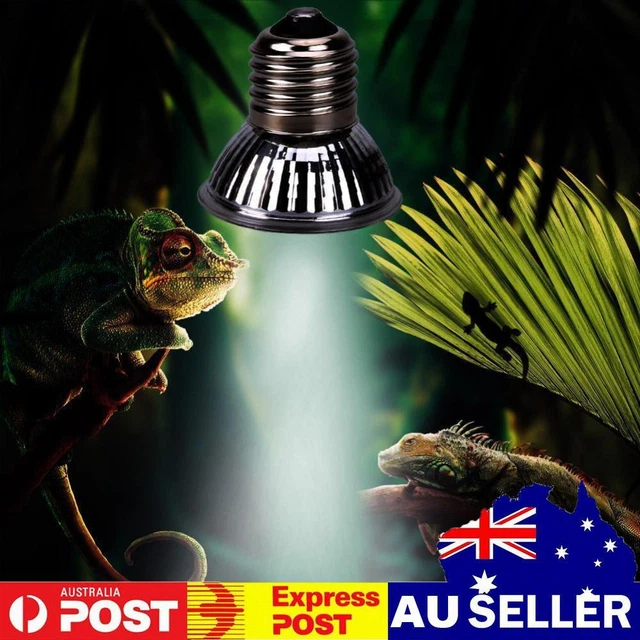 25/50/75W Reptile Box Heating Lamp UVA+UVB 3.0 Alloy Pet Products (50W)
