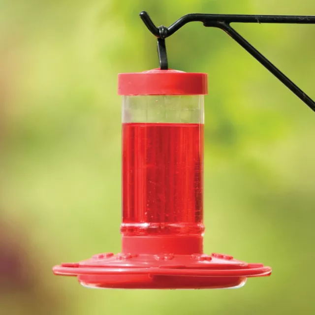 First Nature Ten Ports Bee/Wasp Protection Easy-To-Fill Hummingbird Feeder, 16oz 2