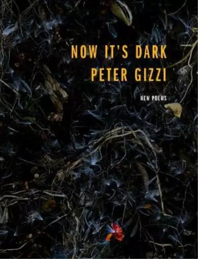 Peter Gizzi Now It's Dark (Relié) Wesleyan Poetry Series