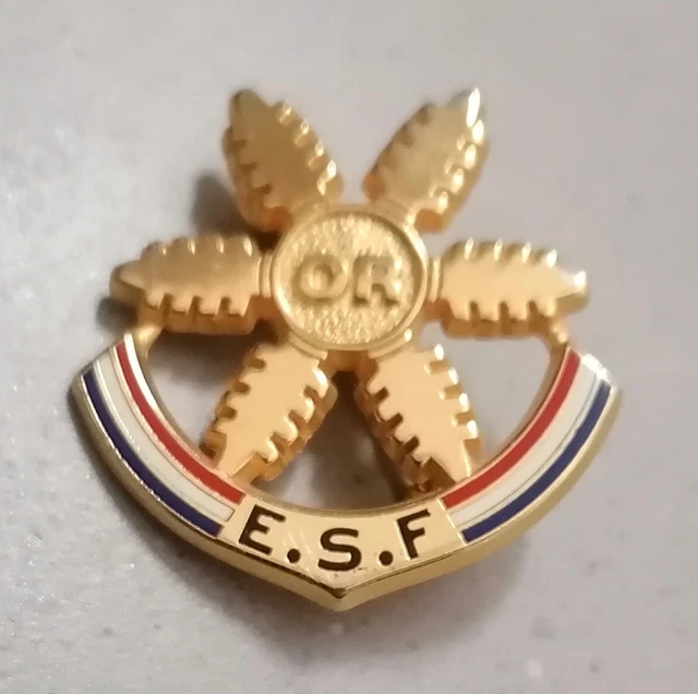 Pin's Insigne broche médaille de ski ESF STAGE YETI Evolution 2 Tignes - Val d'Isère brevet niveau test enfant - Sport & Plein air