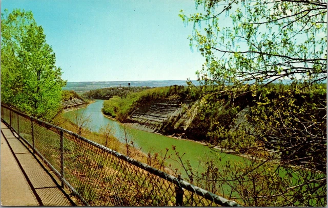 Letchworth State Park, N.Y.~Upper Falls~Rocky Island~Genesee River~Postcard York