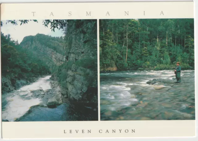 Australia TASMANIA TAS Leven River LEVEN CANYON TP&S TP884 postcard c2000s