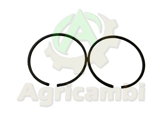 Coppia Segmenti Fasce Elastiche per Pistoni, D. 44 mm, S. 1,5 mm