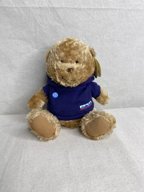 Girl Guiding Guides Plush Bear Toy Fluffy Blue Jumper Carte Blanche Tagged New