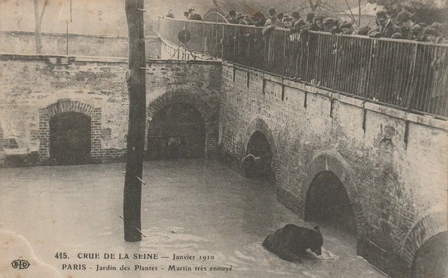 CPA 75 PARIS Jardin des Plantes Martin very bored CRUE DE LA SEINE January 1910
