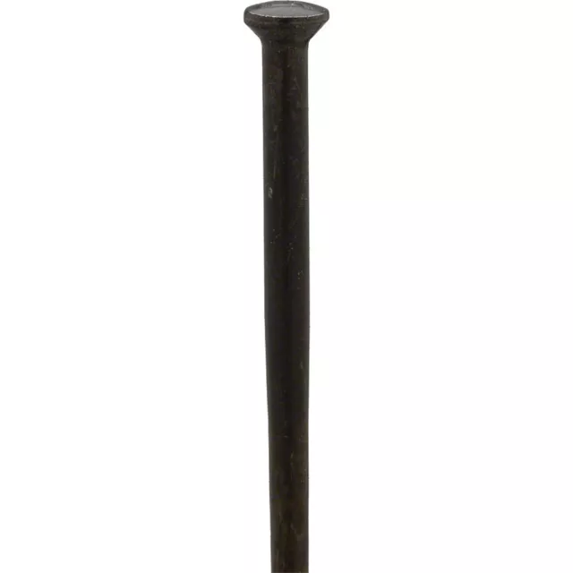 DT Swiss Competition Straight Pull 298mm Black Spokes Box of 20