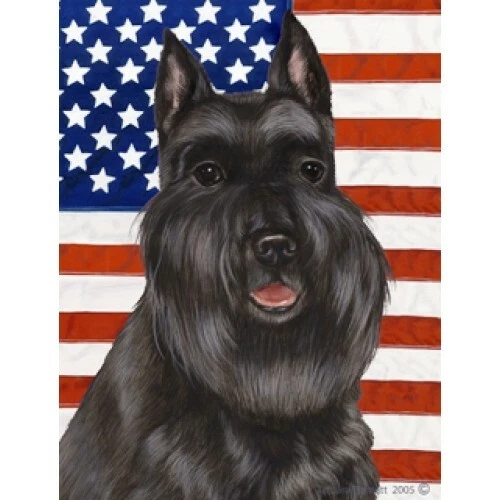 Patriotic (D2) Garden Flag - Black Schnauzer 322371