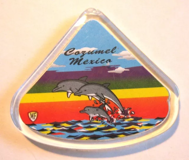 https://www.picclickimg.com/-Q8AAOSwNJBjRaww/Cozumel-Mexico-Souvenir-Magnet-Leaping-Dolphins-or-Porpoises.webp