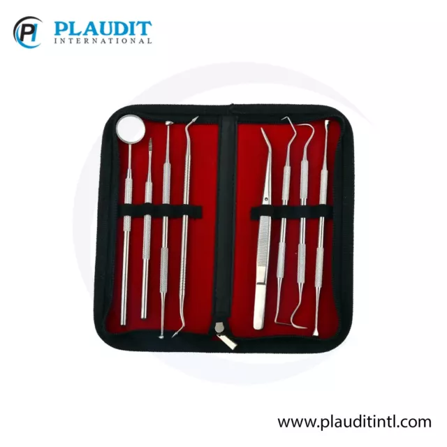 Stainless Steel Dental Tools Dental Hygiene Kit 8in1 design Calculus Tartar