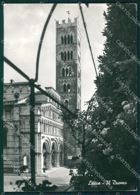 Lucca Città Duomo FG Foto cartolina KB5346
