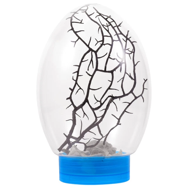 Practical Ecosphere Closed Aquatic Ecosystem Aquatic Ecosystem Fish Tank