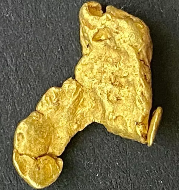 💖GOLD NUGGET Natural Alaska Placer .926 GRAMS AK Koyukuk River Hi Purity 94%💖