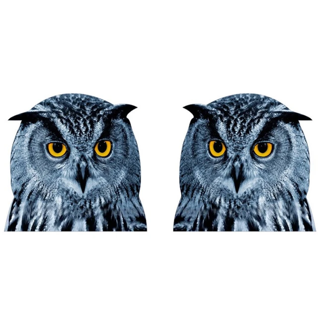 Car Window Sticker Animal Owl Cute Vinyl Graphics Glass Body Decoration Decals